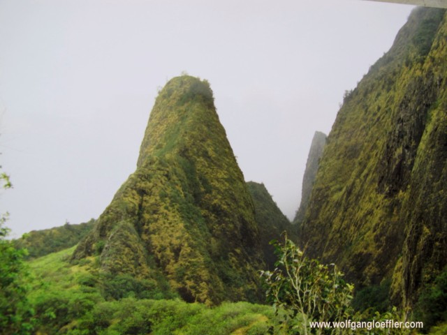 Bewachsene Feslsspitze auf Maui