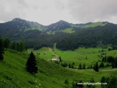 Blick ueber ein gruenes Tal auf einen bewaldeten Berghang