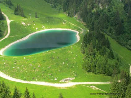 Kleiner See im Wald