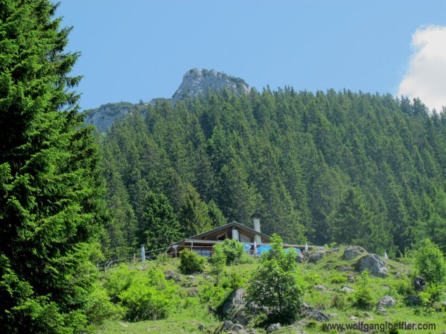 Almhütte mit Tannenwald und Berggipfel im Hintergrund